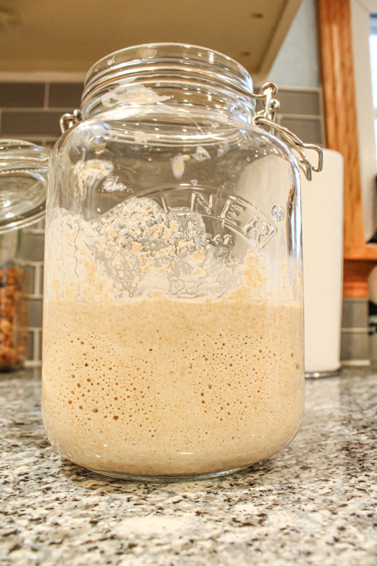 active sourdough starter in a large jar on the countertop 