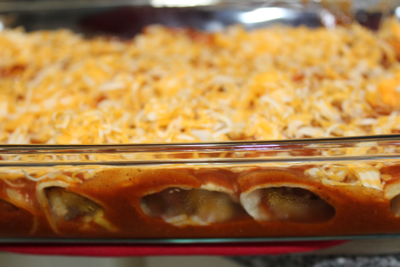 Enchiladas from scratch topped with cheese prior to baking