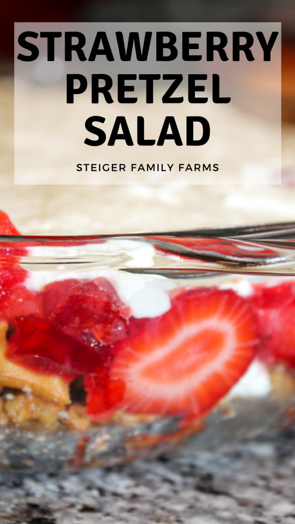 One long image of a layered strawberry pretzel salad. The layers are pretzels, jello with strawberries and crushed pineapple, and a whipped cream/cream cheese topping. In the top third of the picture is a 50% transparent white box with black text stating strawberry pretzel salad in title text and steiger family farms in subtext. 