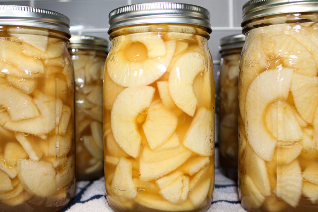 three columns and two rows deep of canned fresh apple slices sitting on a kitchen towel on the counter. 