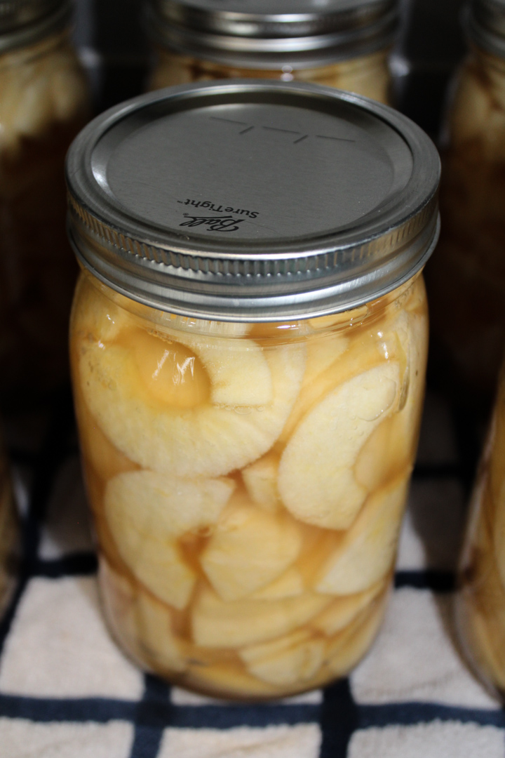 one quart size wide mouth glass jar of canned fresh apple slices sitting on a blue and white kitchen towel.