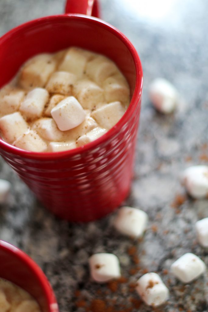 homemade hot chocolate in a red mug topped with mini marshmallows and a dash of nutmeg